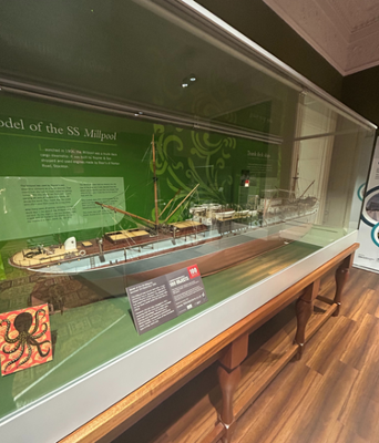 SS Millpool in focus