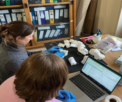Caring for collections
