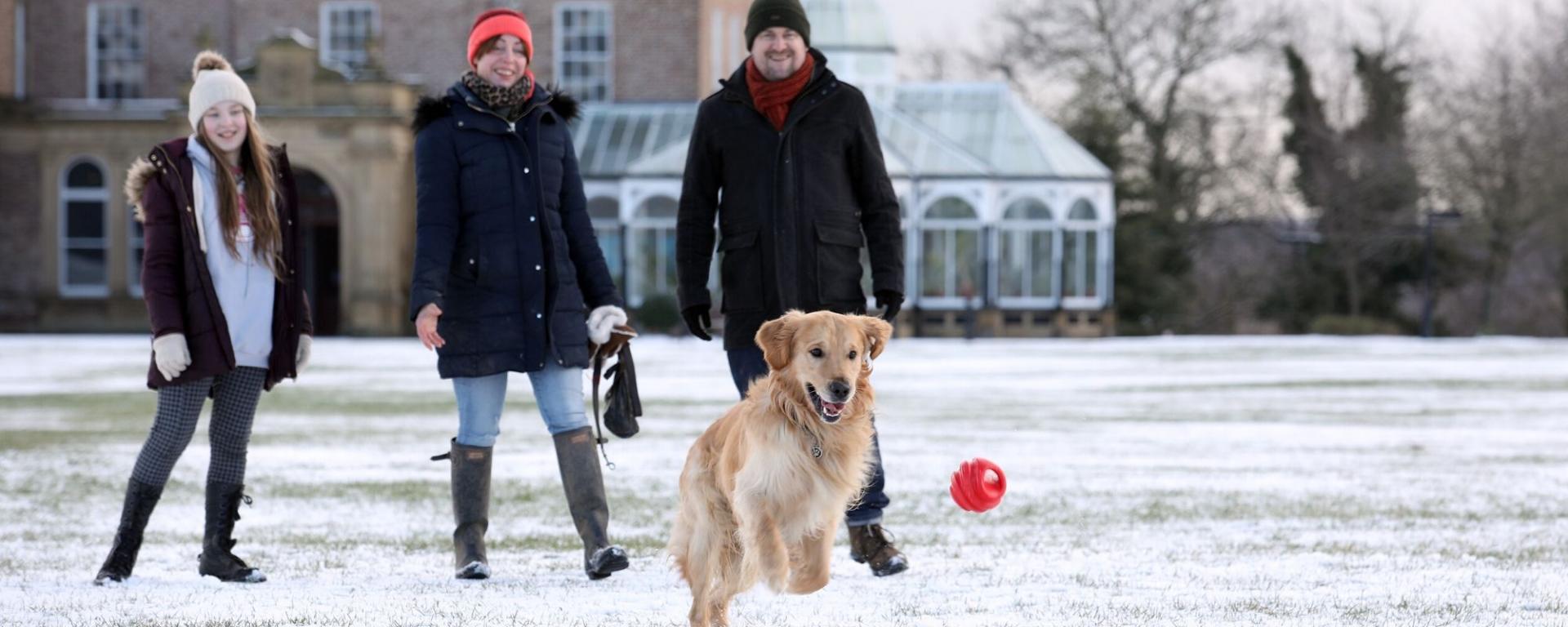 Family Playing In The Snow With A Dog In Front Of The Hall Family Playing In The Snow With A Dog In Front Of The Hall