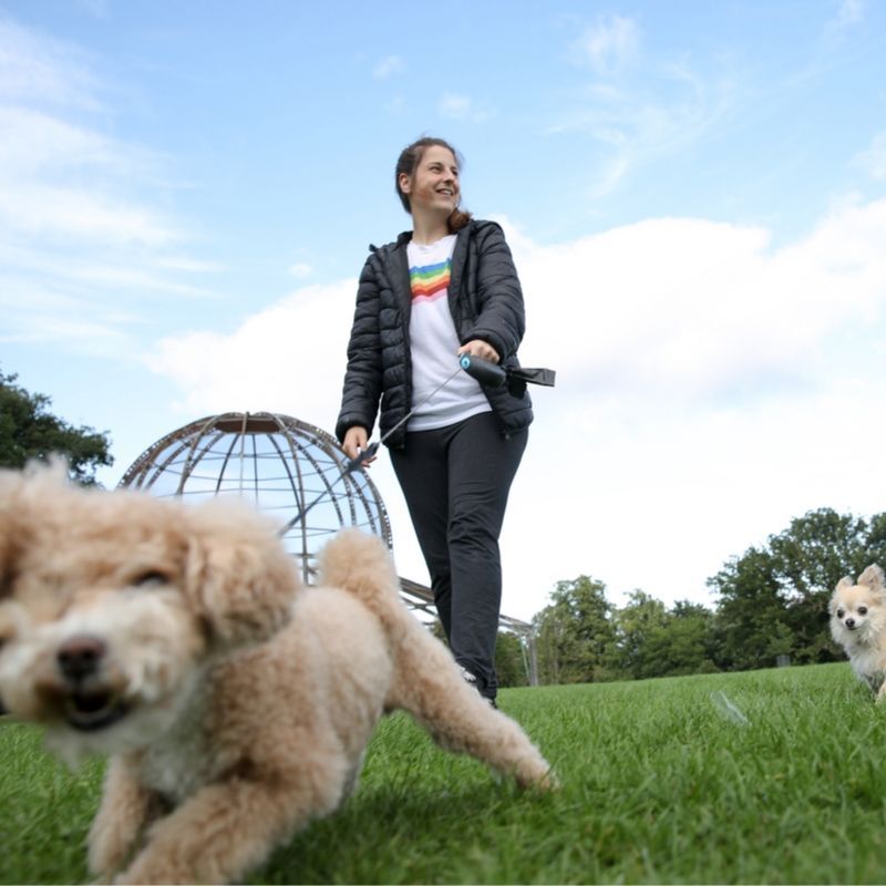 Owner Walking With A Dog On The Leash In The Park
