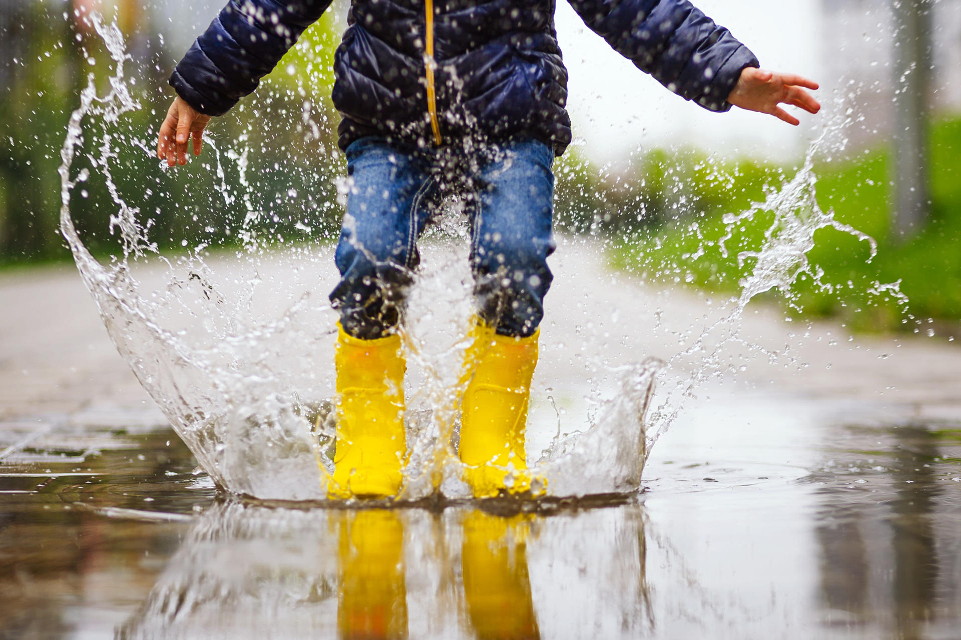 Legs Of Child With Yellow Rubber Boots Jump In Puddle On An Autumn Walk Legs Of Child With Yellow Rubber Boots Jump In Puddle On An Autumn Walk