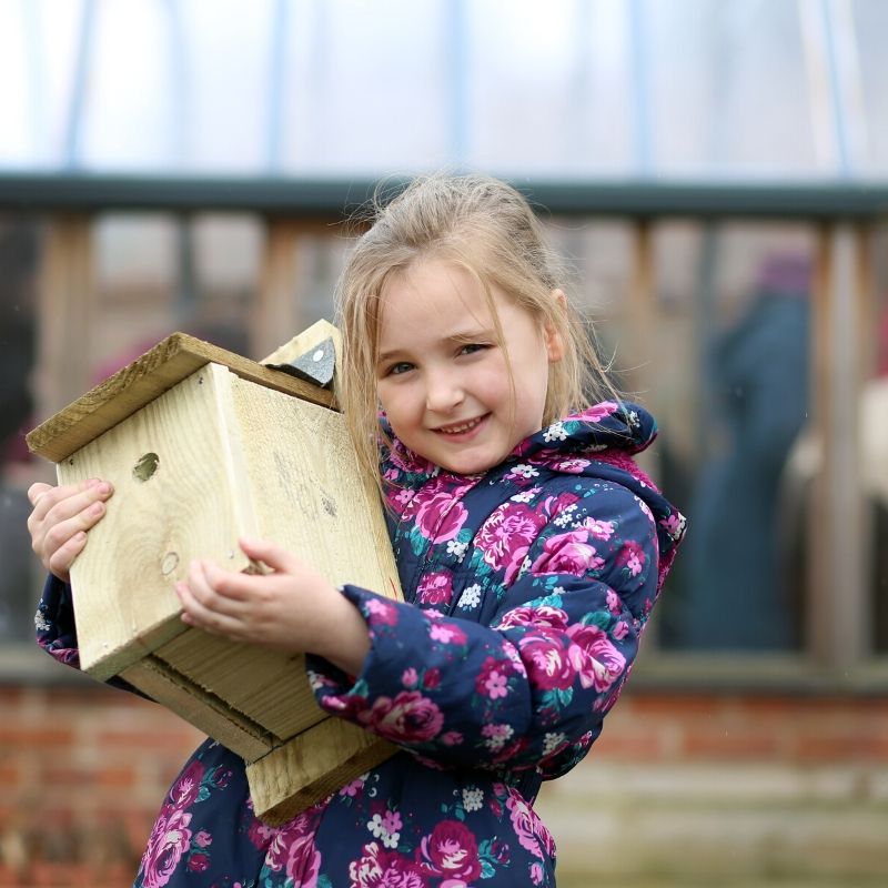 Make your own nesting box at the museum