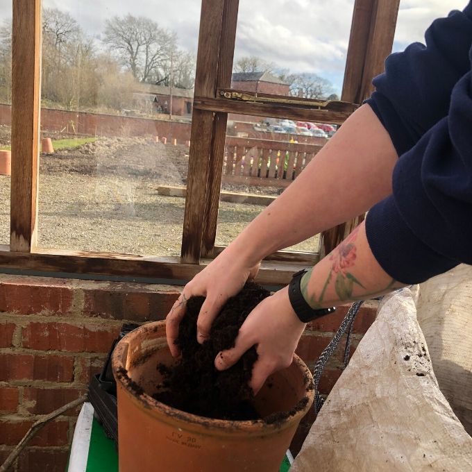 Filling Your Pot With Compost