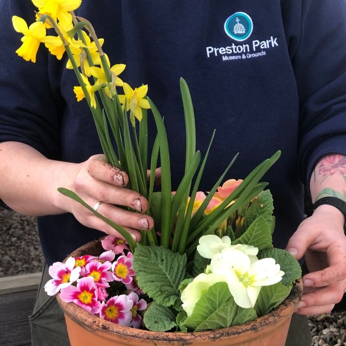 How to Create The Perfect Mother's Day Planter How to Create The Perfect Mother's Day Planter