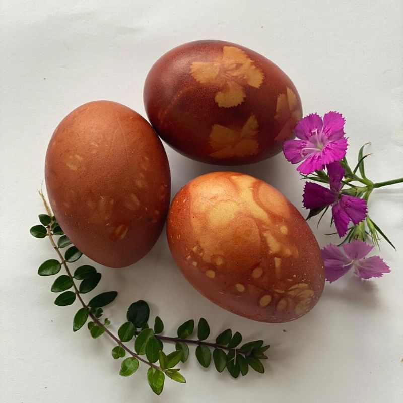 Natural Dye Eggs Natural Dye Eggs
