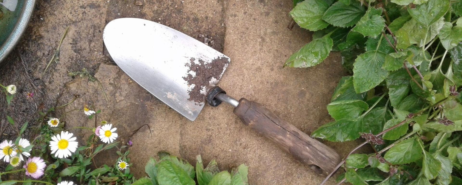 Trowel 2 lockdown gardening