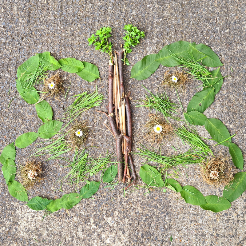 800 X 800 Natural Art 800 X 800 Natural Art